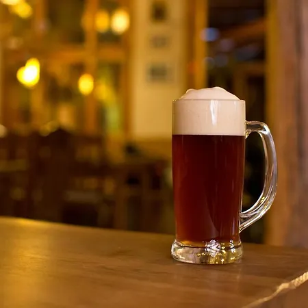 Gaestehaus Braeuscheuere *